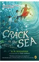 Crack in the Sea