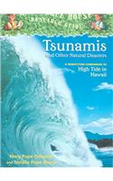 Tsunamis and Other Natural Disasters