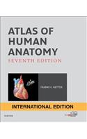 Atlas of Human Anatomy International Edition