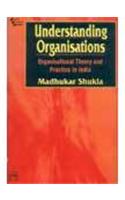 Understanding Organisations: Organisational Theory And Practice In India