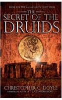 The Secret of the Druids : Book 2 of the Mahabharata Quest Series