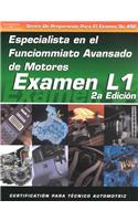 ASE Test Prep Series -- Spanish Version, 2e (L1): Advanced Engine Performance Specialist