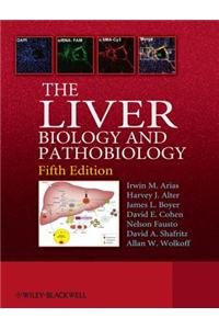 The Liver