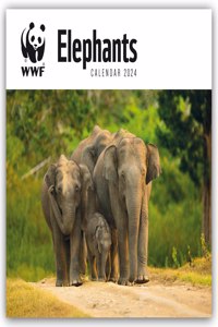 2024 Wwf Elephants Plastic Free Wall