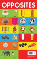 Opposites - Early Learning Educational Posters For Children: Perfect For Kindergarten, Nursery and Homeschooling (19 Inches X 29 Inches)