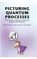 Picturing Quantum Processes