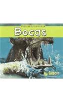 Bocas: (¡encuentra Las Diferencias!)