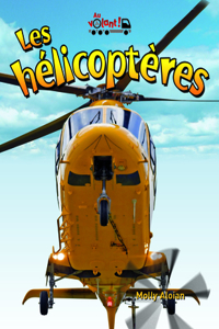 Les Hélicoptères (Hovering Helicopters)