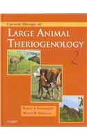 Current Therapy in Large Animal Theriogenology (Current Veterinary Therapy)