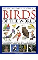 Complete Illustrated Encyclopedia of Birds of the World