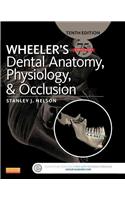 Wheeler's Dental Anatomy, Physiology and Occlusion