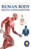 Human Body - Skeletal And Muscular System: Knowledge Encyclopedia For Children