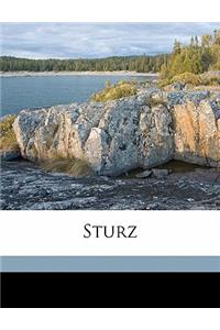 Sturz