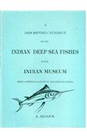 Descriptive Catalogue of Indian Deep Sea Fishes in the Indian Muscem