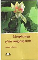 Morphology of the Angiosperms