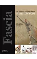 Fascia: The Tensional Network of the Human Body