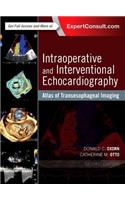 Intraoperative and Interventional Echocardiography