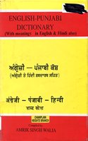 English-Hindi-Punjabi Dictionary