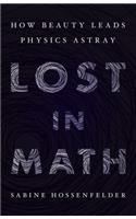 Lost in Math