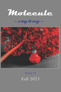 Molecule: a tiny lit mag #9: Fall 2023(9 Molecule: A Tiny Lit Mag)