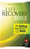 Life Recovery Bible