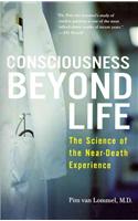 Consciousness Beyond Life