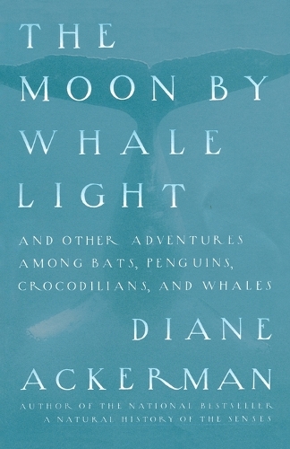 Moon By Whale Light