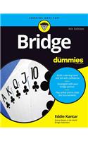 Bridge for Dummies