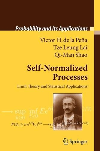 Self-Normalized Processes