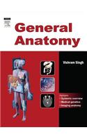 General Anatomy
