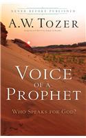 Voice of a Prophet – Who Speaks for God?