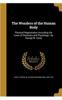 Wonders of the Human Body