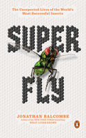 Super Fly