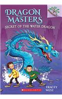 Secret of the Water Dragon: A Branches Book (Dragon Masters #3)