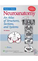 Neuroanatomy: An Atlas of Structures, Sections, and Systems