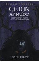 Pagan Portals - Gwyn AP Nudd