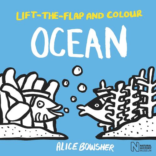 Lift-the-flap and Colour Ocean