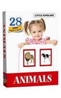 Flash Cards - ANIMALS