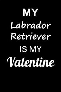 My Labrador Retriever Is My Valentine