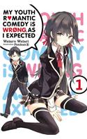 My Youth Romantic Comedy Is Wrong, As I Expected, Vol. 1 (light novel)