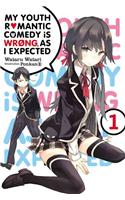 My Youth Romantic Comedy Is Wrong, As I Expected, Vol. 1 (Novel)