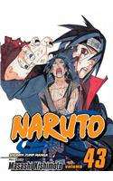 Naruto, Vol. 43