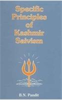Specific Principles of Kashmir Saivism