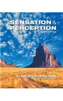 Sensation and Perception