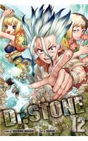 Dr. Stone, Vol. 12