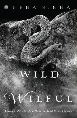 Wild and Wilful