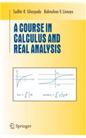 Course in Calculus and Real Analysis