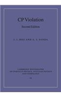 CP Violation