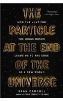 Particle at the End of the Universe