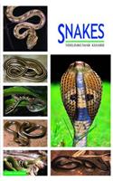 Snakes
